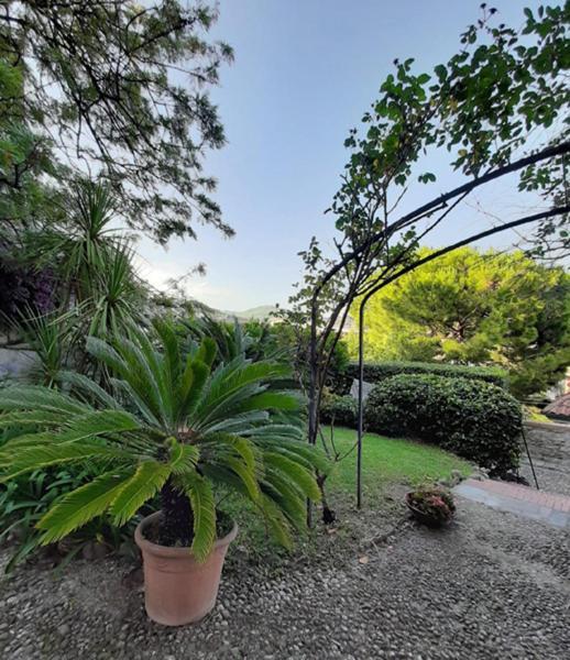 Villa Casa Gazzano Imperia Exterior foto